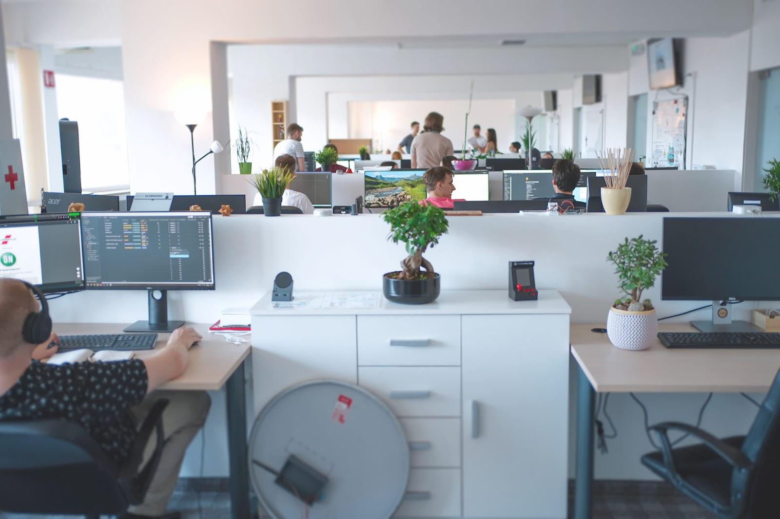 The Exevio team at work in their open-plan office in Rijeka